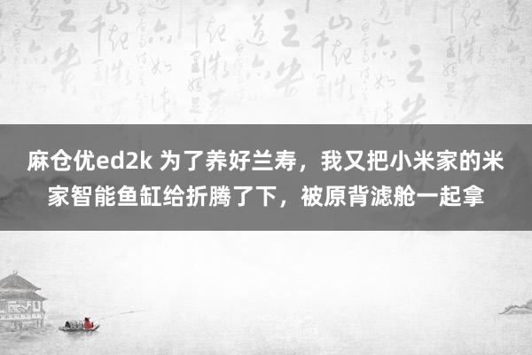 麻仓优ed2k 为了养好兰寿，我又把小米家的米家智能鱼缸给折腾了下，被原背滤舱一起拿