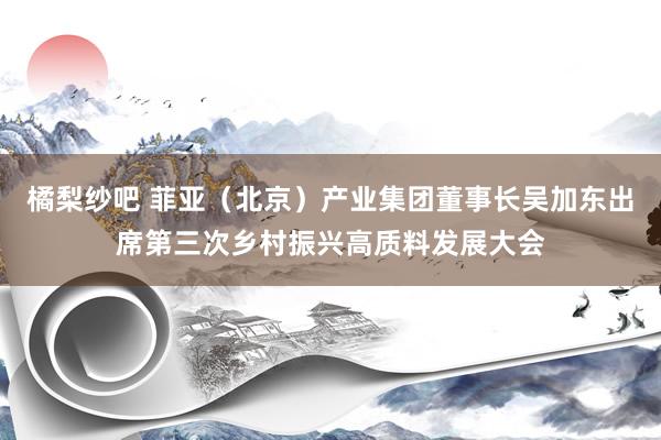 橘梨纱吧 菲亚（北京）产业集团董事长吴加东出席第三次乡村振兴高质料发展大会