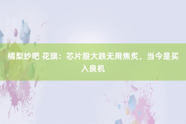 橘梨纱吧 花旗：芯片股大跌无用焦炙，当今是买入良机