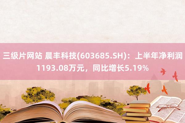 三级片网站 晨丰科技(603685.SH)：上半年净利润1193.08万元，同比增长5.19%