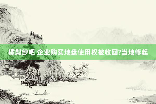 橘梨纱吧 企业购买地盘使用权被收回?当地修起