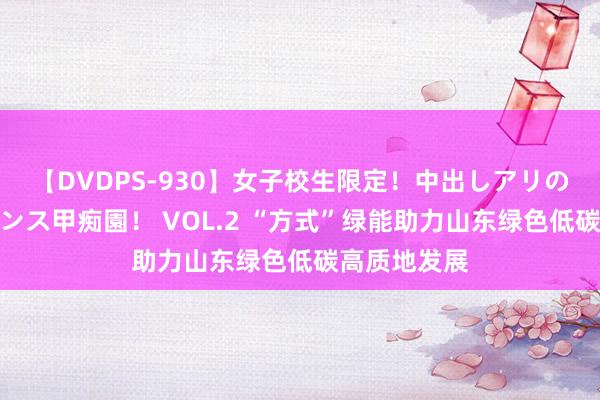 【DVDPS-930】女子校生限定！中出しアリの！腰フリダンス甲痴園！ VOL.2 “方式”绿能助力山东绿色低碳高质地发展