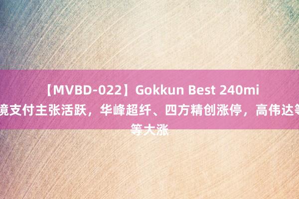 【MVBD-022】Gokkun Best 240min. 跨境支付主张活跃，华峰超纤、四方精创涨停，高伟达等大涨