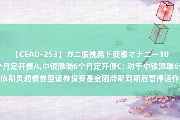 【CEAD-253】ガニ股挑発ド変態オナニー100人8時間 中银添瑞6个月定开债A，中银添瑞6个月定开债C: 对于中银添瑞6个月依期灵通债券型证券投资基金阻滞期到期后暂停运作、不灵通申购等业务安排的公告