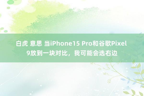 白虎 意思 当iPhone15 Pro和谷歌Pixel 9放到一块对比，我可能会选右边