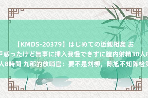 【KMDS-20379】はじめての近親相姦 おばさんの誘いに最初は戸惑ったけど無事に挿入我慢できずに膣内射精30人8時間 九部的放哨官：要不是刘柳，陈旭不知陈检第一次碰面就给他下套