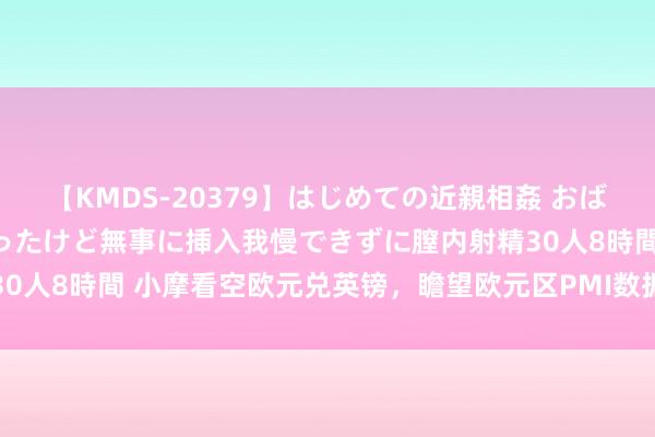 【KMDS-20379】はじめての近親相姦 おばさんの誘いに最初は戸惑ったけど無事に挿入我慢できずに膣内射精30人8時間 小摩看空欧元兑英镑，瞻望欧元区PMI数据令东谈主失望