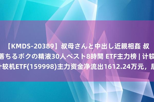 【KMDS-20389】叔母さんと中出し近親相姦 叔母さんの身体を伝い落ちるボクの精液30人ベスト8時間 ETF主力榜 | 计较机ETF(159998)主力资金净流出1612.24万元，居可比基金首位