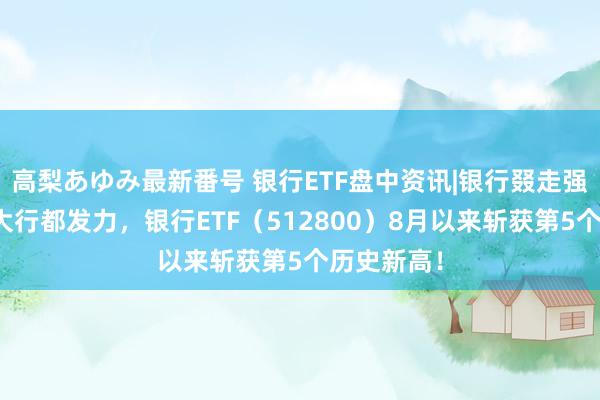 高梨あゆみ最新番号 银行ETF盘中资讯|银行叕走强，国有五大行都发力，银行ETF（512800）8月以来斩获第5个历史新高！