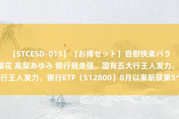 【STCESD-015】【お得セット】自慰快楽パラノイド 大場ゆい 本庄優花 高梨あゆみ 银行叕走强，国有五大行王人发力，银行ETF（512800）8月以来斩获第5个历史新高！