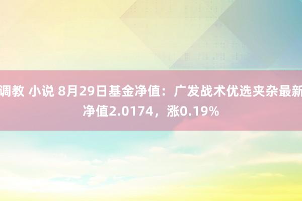 调教 小说 8月29日基金净值：广发战术优选夹杂最新净值2.0174，涨0.19%