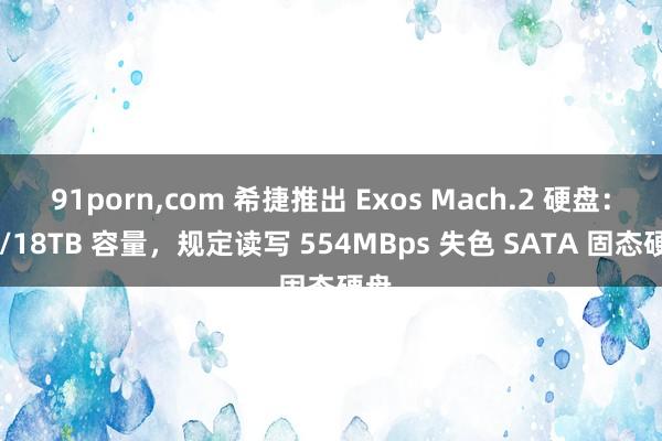 91porn，com 希捷推出 Exos Mach.2 硬盘：16/18TB 容量，规定读写 554MBps 失色 SATA 固态硬盘