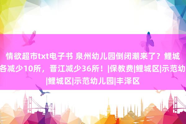 情欲超市txt电子书 泉州幼儿园倒闭潮来了？鲤城、丰泽一年各减少10所，晋江减少36所！|保教费|鲤城区|示范幼儿园|丰泽区