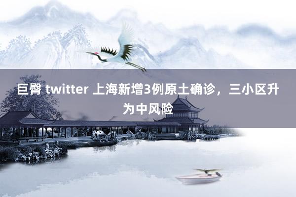 巨臀 twitter 上海新增3例原土确诊，三小区升为中风险