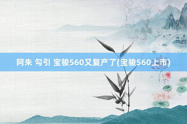 阿朱 勾引 宝骏560又复产了(宝骏560上市)