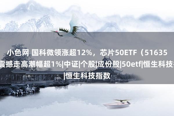 小色网 国科微领涨超12%，芯片50ETF（516350）震撼走高潮幅超1%|中证|个股|成份股|50etf|恒生科技指数