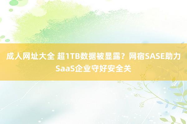 成人网址大全 超1TB数据被显露？网宿SASE助力SaaS企业守好安全关